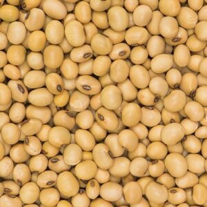 soya